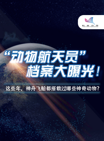 据中国载人航天工程办公室消息，神舟二十一号载人飞船于北京时间10月31日23时44分从酒泉卫星发射中心发射升空。从神舟五号到神舟二十一号，中国航天员一次次出征，承载着国人的骄傲。其实，神舟飞船的乘客名单里，不只有人类航天员，还有许多的“动物航天员”。作为科学实验的“主角，这些“动物航天员”悄悄见证着星辰大海的浪漫。现在，就让我们一起翻开这份独特的“太空乘客”名单，了解那些随神舟飞船被选派入驻“天宫”的神奇动物吧。              了解详情